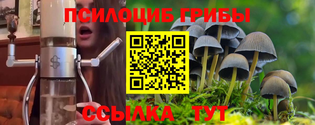Псилоцибиновые грибы прущие грибы Грязи